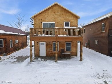 Beach Home For Sale in Ashtabula, Ohio