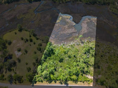 Beach Lot For Sale in Milton, Florida