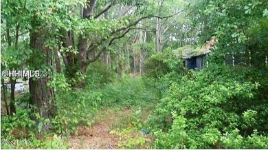 Beach Acreage For Sale in Bluffton, South Carolina