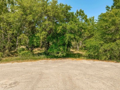 Beach Acreage For Sale in Ochlockonee Bay, Florida