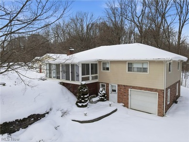 Beach Home For Sale in Conneaut, Ohio