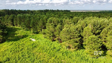 Beach Lot For Sale in Foley, Alabama