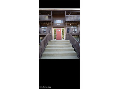 Beach Condo For Sale in Lorain, Ohio