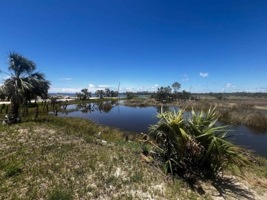 Beach Lot For Sale in Keaton Beach, Florida