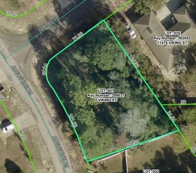 Beach Lot For Sale in Spring Hill, Florida