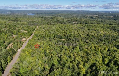 Beach Acreage For Sale in Atlantic Mine, Michigan