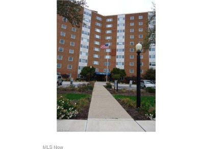 Beach Condo For Sale in Lakewood, Ohio