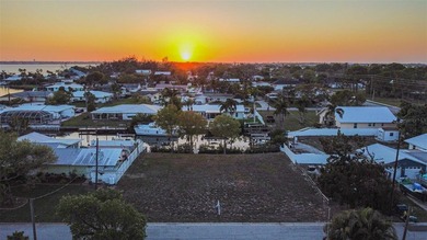 Beach Lot For Sale in Palmetto, Florida