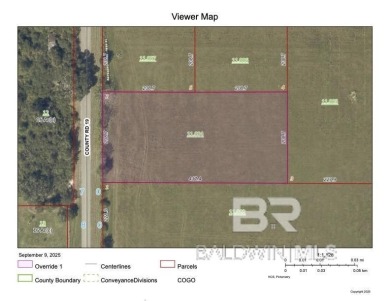 Beach Acreage For Sale in Foley, Alabama
