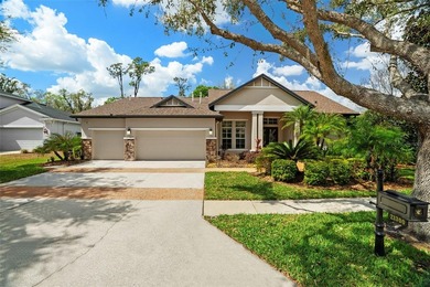 Beach Home For Sale in Land O Lakes, Florida