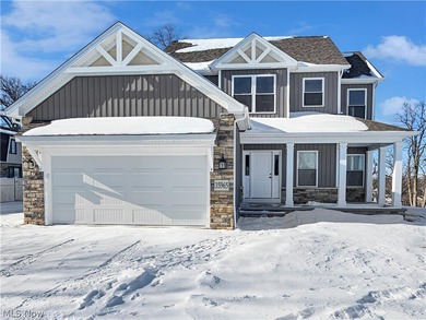 Beach Home For Sale in Eastlake, Ohio