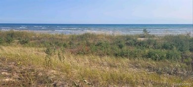 Beach Lot For Sale in Naubinway, Michigan