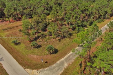 Beach Lot For Sale in Lehigh Acres, Florida