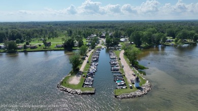 Beach Commercial For Sale in Au Gres, Michigan