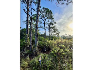 A great building lot in Fort Morgan, Gulf Shores, Alabama - Beach Lot for sale in Gulf Shores, Alabama on Beachhouse.com