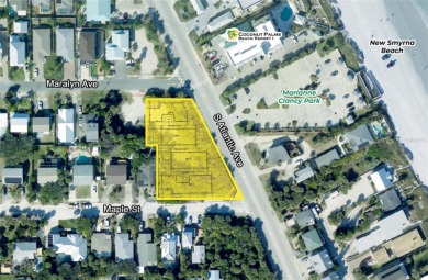 Beach Lot For Sale in New Smyrna Beach, Florida