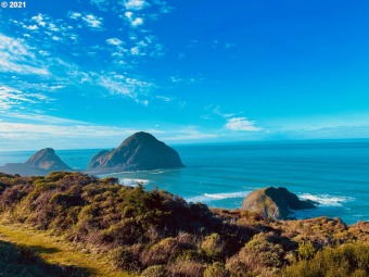 Beach Acreage Off Market in Gold Beach, Oregon