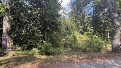 Beach Lot For Sale in Foley, Alabama