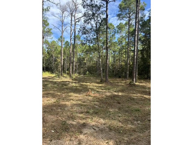 Beach Lot For Sale in Santa Rosa Beach, Florida