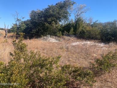 Beach Lot For Sale in Cedar Island, North Carolina
