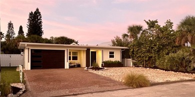 Beach Home For Sale in New Smyrna Beach, Florida