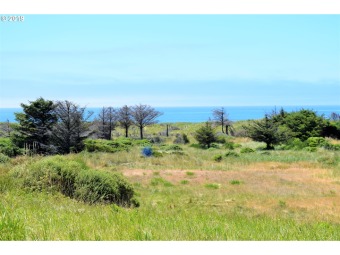 Beach Commercial For Sale in Gold Beach, Oregon