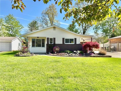 Beach Home For Sale in Eastlake, Ohio