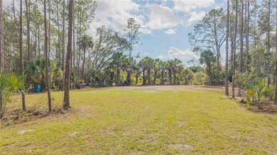 Beach Lot For Sale in New Smyrna Beach, Florida