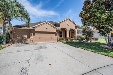 Beach Home For Sale in Land O Lakes, Florida