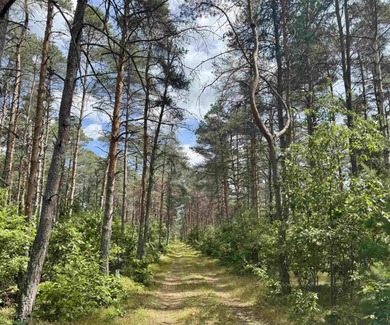 Beach Acreage For Sale in Harrison, Michigan