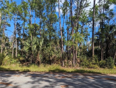 Beach Lot For Sale in North Port, Florida