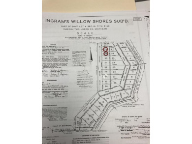 Beach Lot For Sale in Port Hope, Michigan