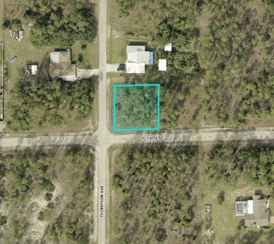 Beach Lot For Sale in Lehigh Acres, Florida