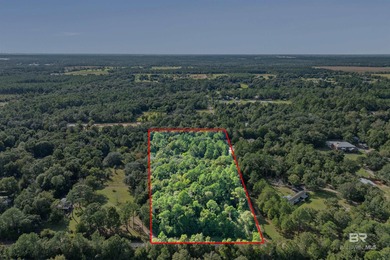 Beach Acreage For Sale in Lillian, Alabama