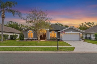 Beach Home Sale Pending in Oldsmar, Florida
