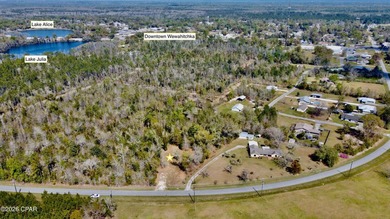 Beach Lot For Sale in Wewahitchka, Florida