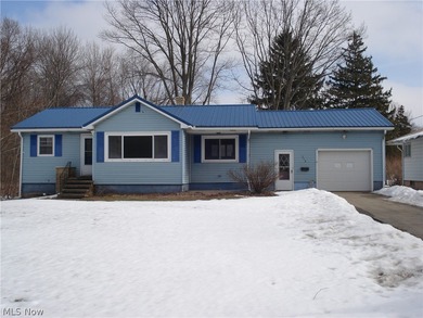 Beach Home For Sale in Conneaut, Ohio