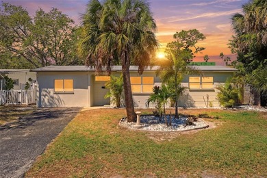 Beach Home Sale Pending in St. Petersburg, Florida