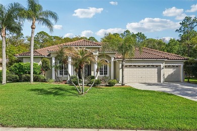 Beach Home For Sale in Oldsmar, Florida