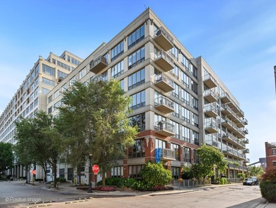 Beach Condo For Sale in Chicago, Illinois
