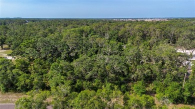 Beach Acreage For Sale in Wimauma, Florida