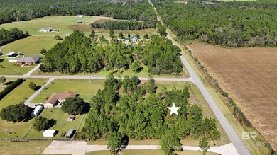 Beach Acreage For Sale in Elberta, Alabama