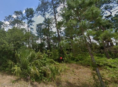 Beach Lot For Sale in Lehigh Acres, Florida