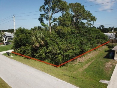 Beach Acreage For Sale in Sebastian, Florida
