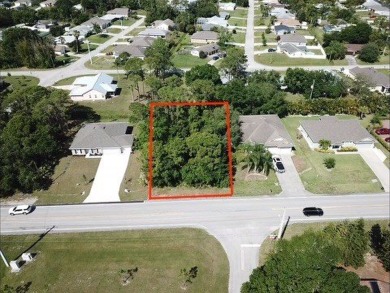 Beach Lot For Sale in Sebastian, Florida