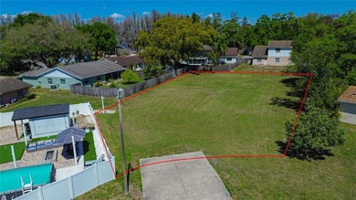 Beach Lot For Sale in Land O Lakes, Florida