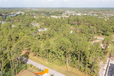 Beach Lot For Sale in Lehigh Acres, Florida