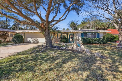 Beach Home For Sale in New Smyrna Beach, Florida