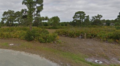 Beach Lot For Sale in Placida, Florida