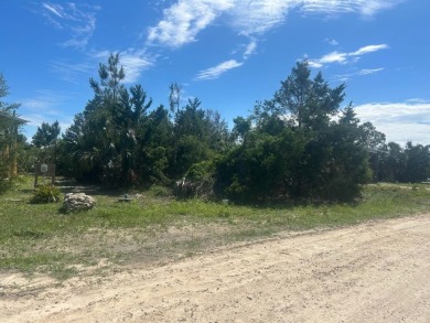 Beach Lot For Sale in Perry, Florida